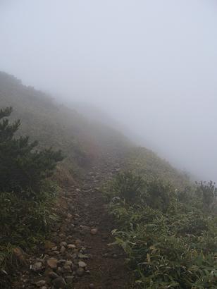 f0065941_11533117.jpg