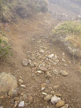 f0065941_11535943.jpg