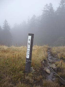 f0065941_1233945.jpg