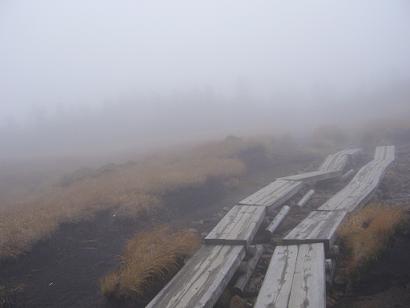 f0065941_1235993.jpg