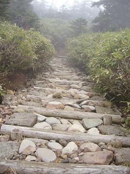 f0065941_1241397.jpg