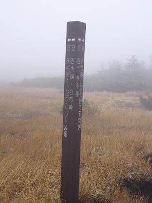 f0065941_1243947.jpg