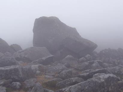 f0065941_126171.jpg
