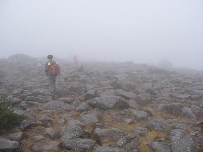 f0065941_126745.jpg