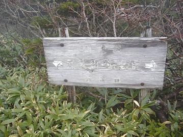 f0065941_1384976.jpg