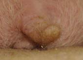a0044146_01361.jpg