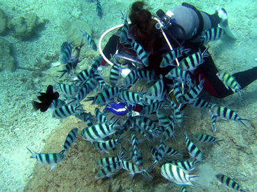 d0065247_1234595.jpg