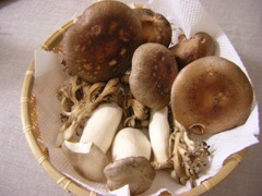 c0081552_2248266.jpg