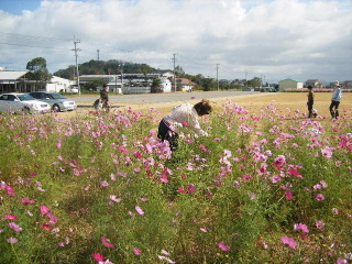 f0043559_2031875.jpg