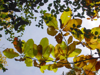 f0032969_1344575.jpg