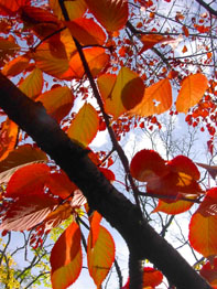 f0032969_1363136.jpg