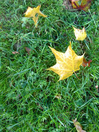 f0032969_1434751.jpg