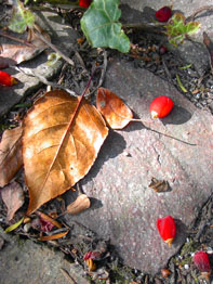 f0032969_1444037.jpg