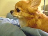 f0052071_1794893.jpg