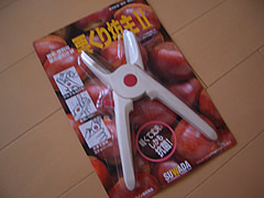 d0074578_13283684.jpg