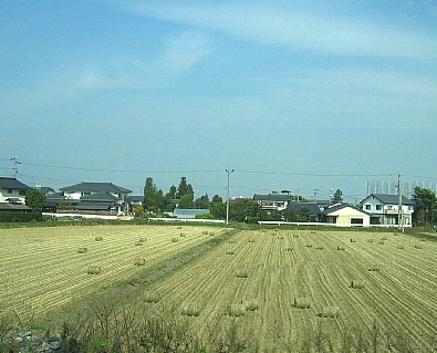 a0079880_1011948.jpg
