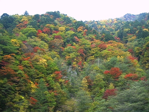 a0079880_1052873.jpg