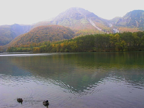 a0079880_16441992.jpg