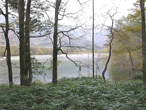 a0079880_1648499.jpg