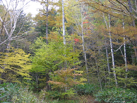 a0079880_16492450.jpg