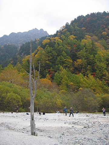 a0079880_16522092.jpg