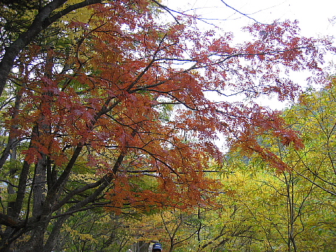 a0079880_16573475.jpg