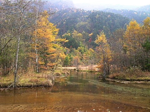 a0079880_16591673.jpg