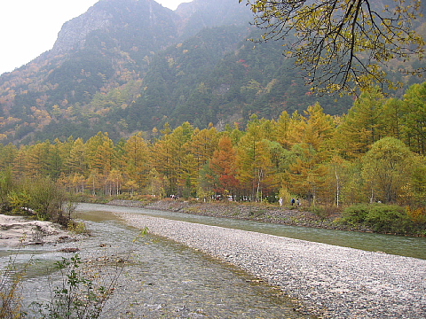a0079880_1723361.jpg