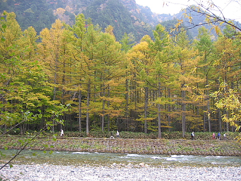 a0079880_173739.jpg