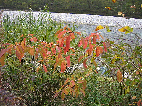 a0079880_1743746.jpg