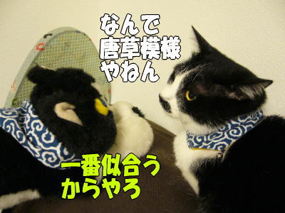 b0041182_22291683.jpg