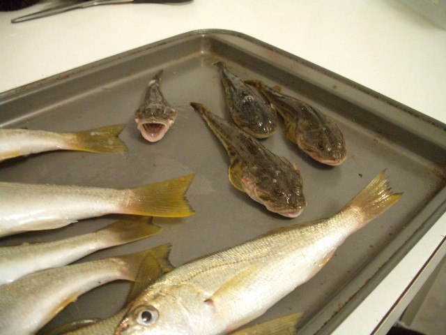 c0024385_1335717.jpg