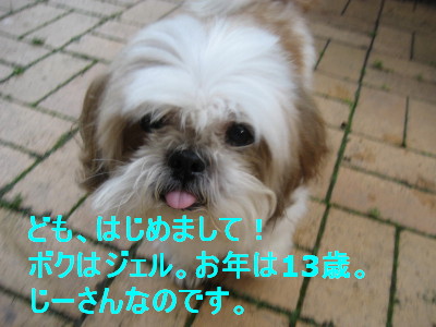 c0092787_124139100.jpg