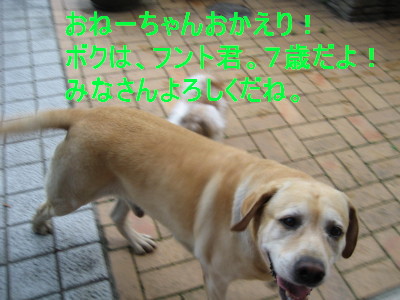c0092787_12414866.jpg