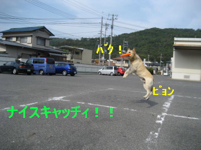 c0092787_124811100.jpg