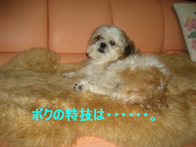 c0092787_12483192.jpg