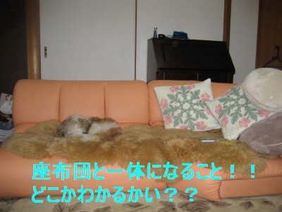 c0092787_12484589.jpg