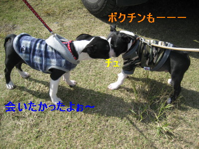 c0092787_12594358.jpg