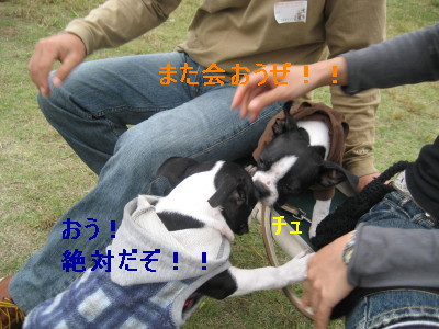 c0092787_1346095.jpg