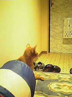 d0011090_1932143.jpg