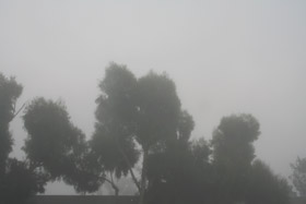 c0033994_443722.jpg