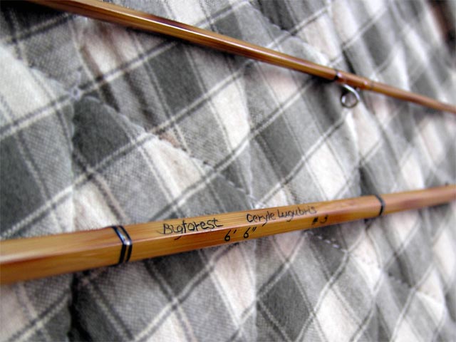 a0043395_2014926.jpg
