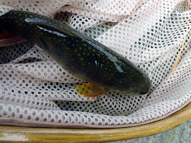 a0043395_20156100.jpg