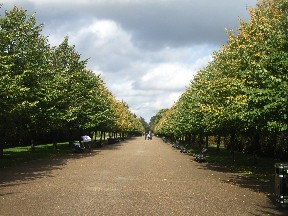 c0032799_1984219.jpg