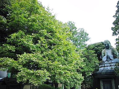 d0090600_9593848.jpg