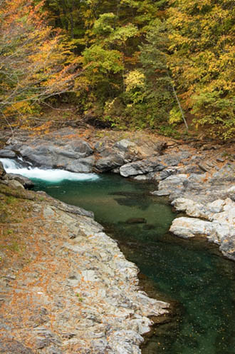 a0044202_20592140.jpg