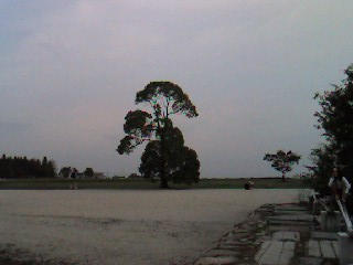 b0077408_1219543.jpg