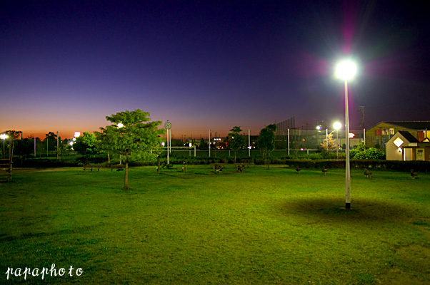 f0041908_2253385.jpg