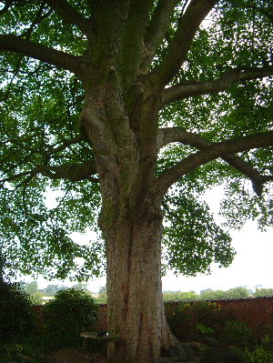 e0046112_217299.jpg
