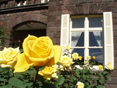 e0083212_16484335.jpg